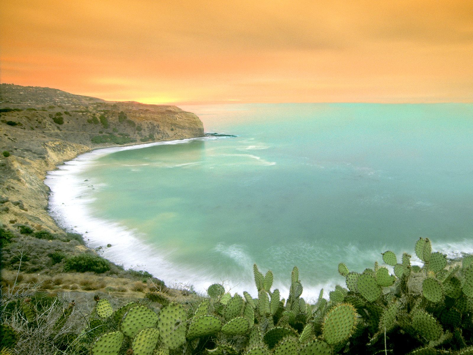 Cactus Sunrise Palos Verde Peninsula California