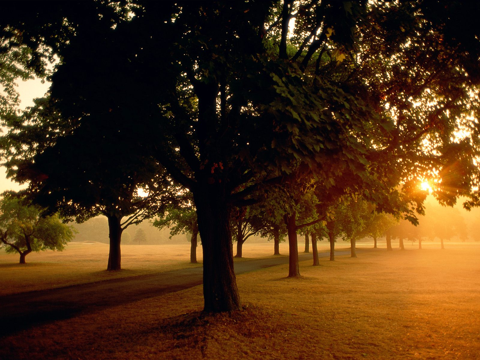 Sunrise in the Park