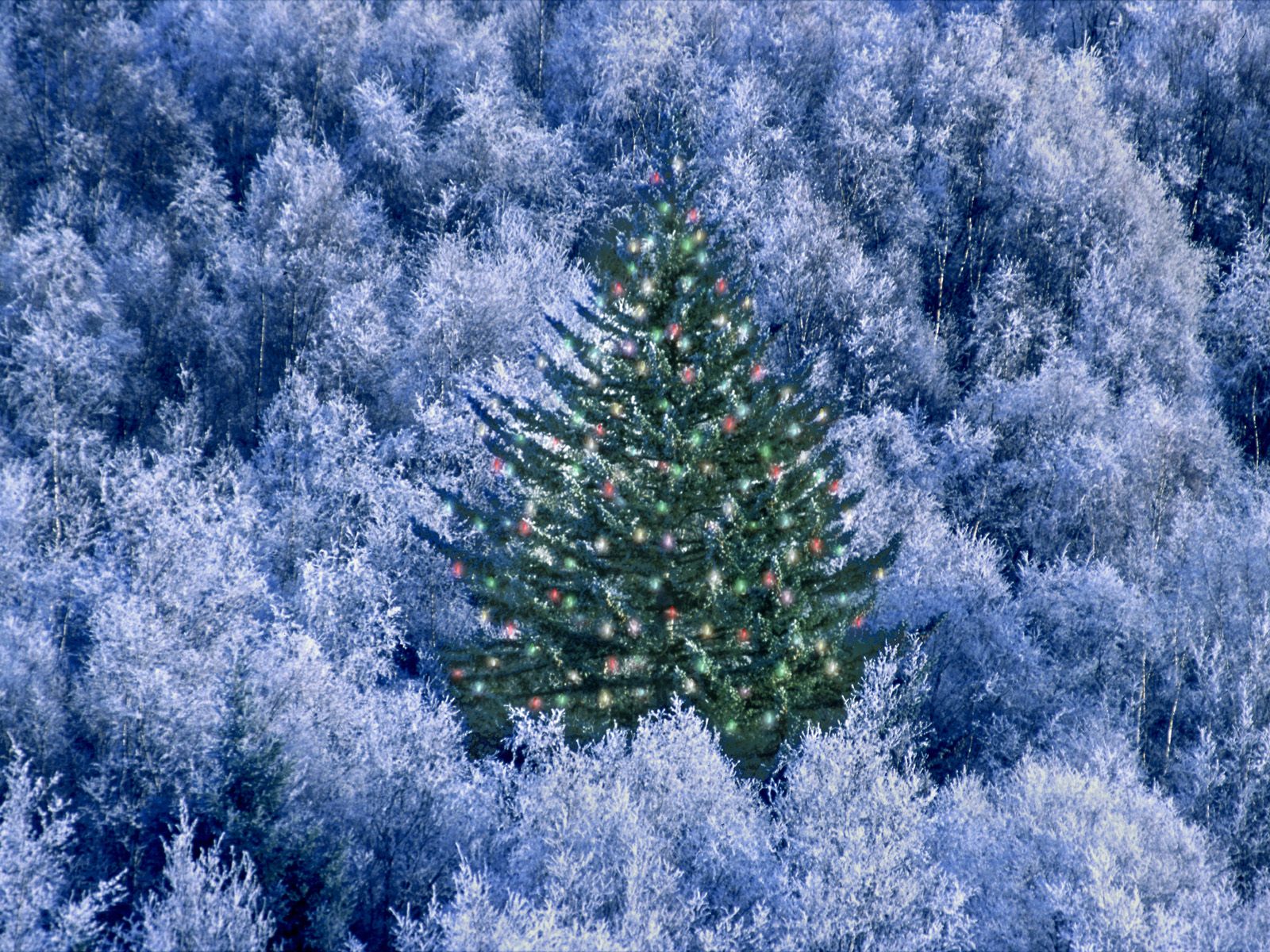 christmas-wallpaper-60