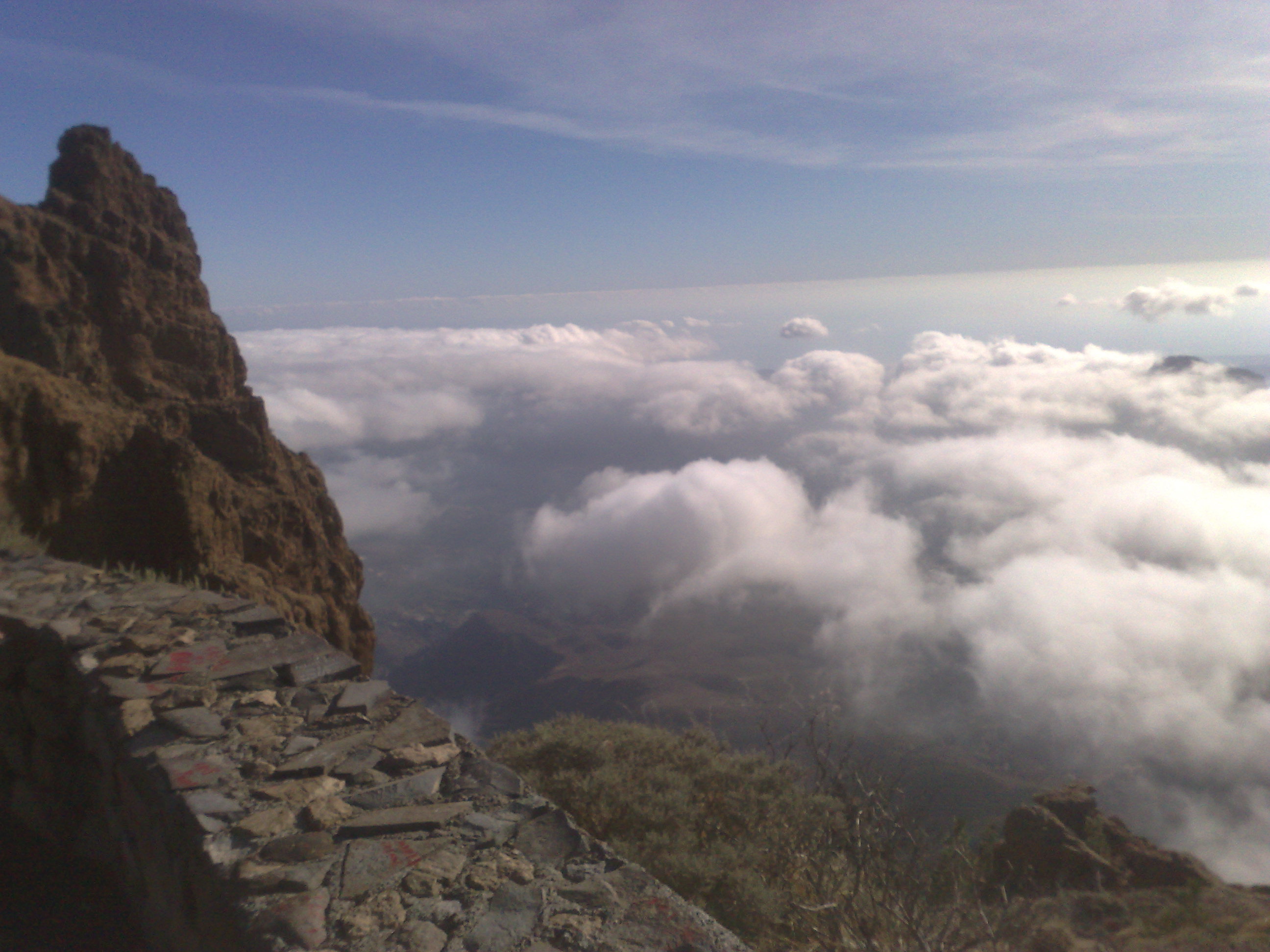 mirador las palmas