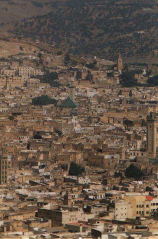 Morocco-Fez-cool