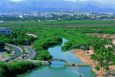 Oman-Salalah