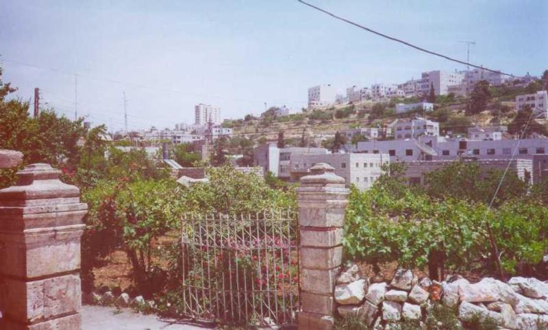 Palestine-Hebron