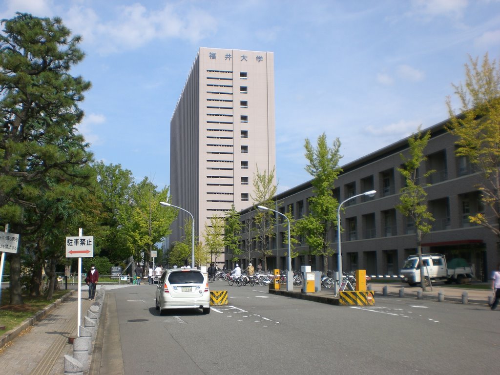 Fukui Road