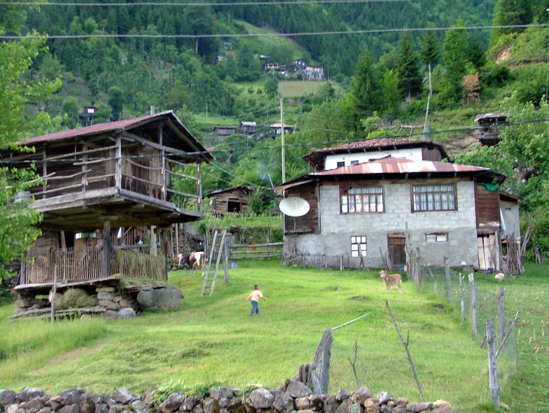 artvin ahir