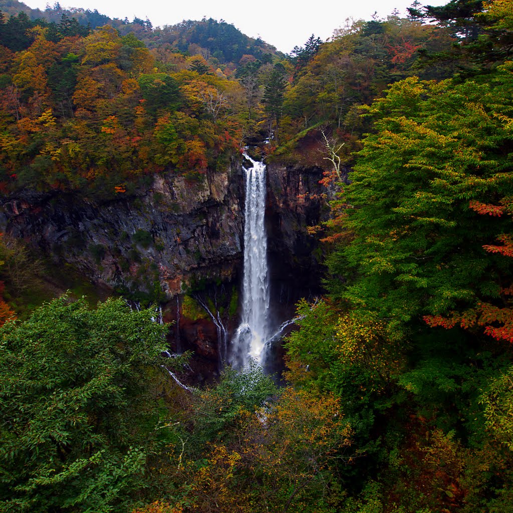 Tochigi Natural