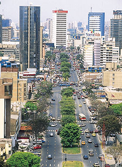 Peru-avenue