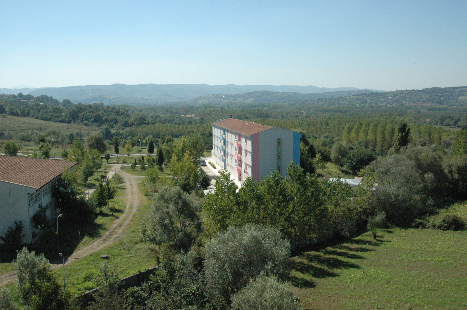 bartin yesil