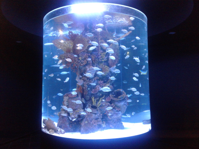 interesting antalya aquarium