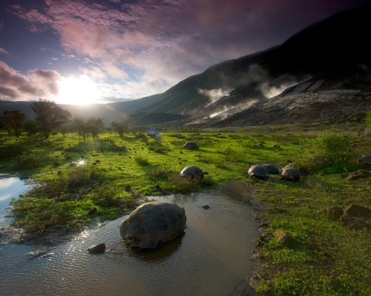 galapagos-islands sunset 1280 x 1024