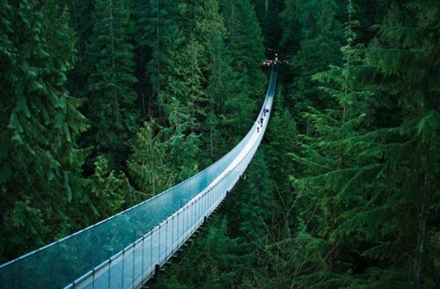 Capilano-bridge-canada