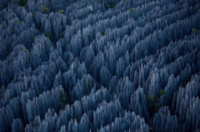stone jungle Madagaskar