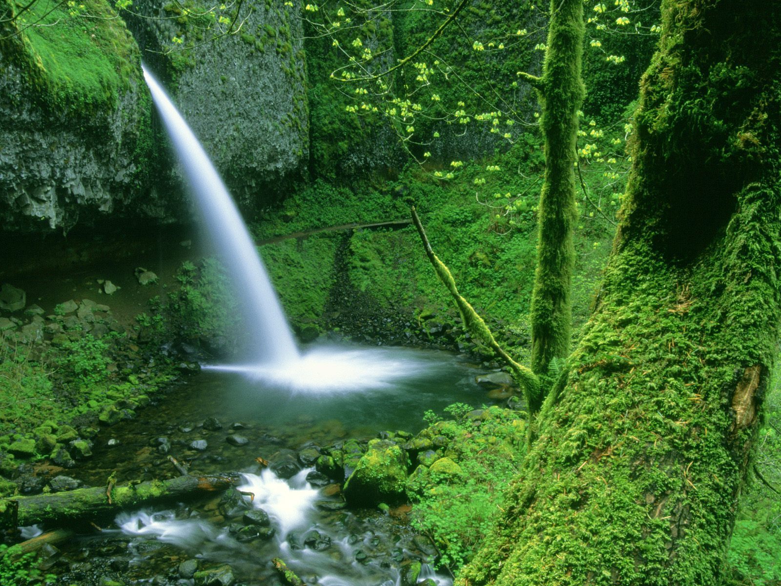 Mountains Waterfalls