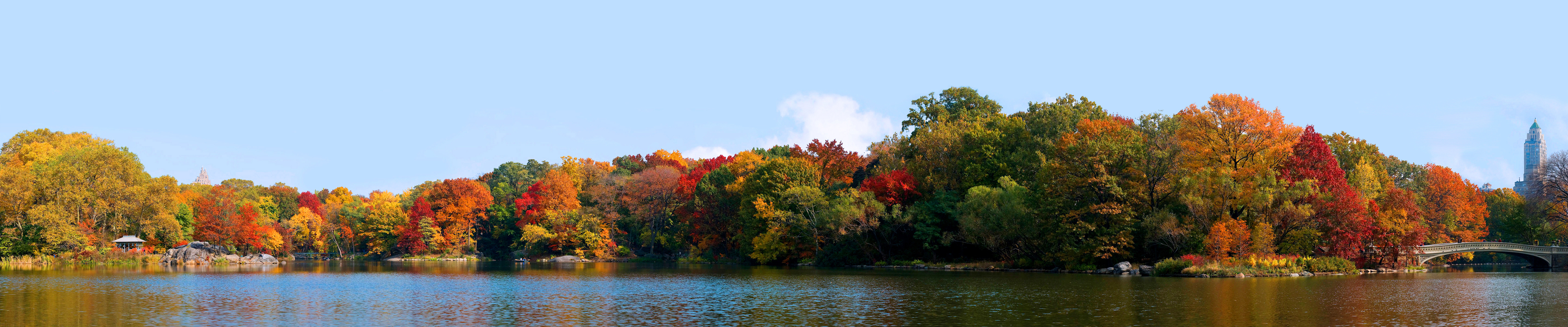 new york central park autumn