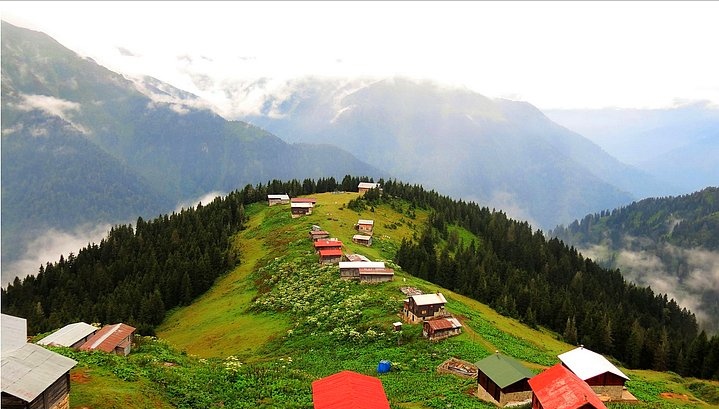 rize pokut