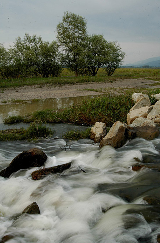 duzce tablo