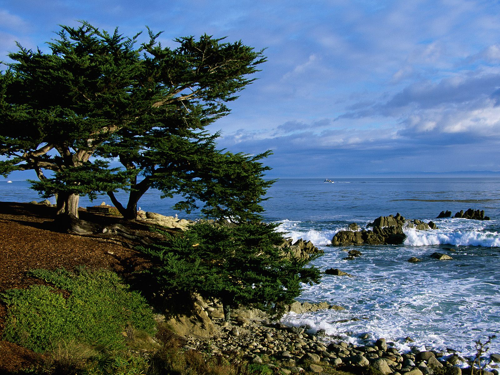 Pacific Grove California