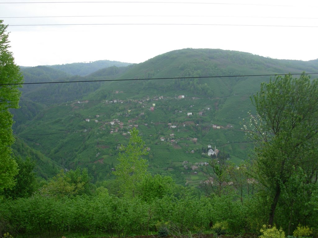 ordu yesilyayla