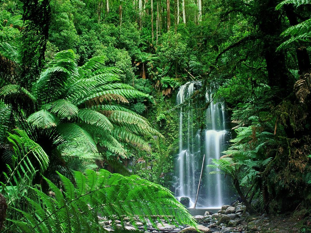 sidney Beauchamp Falls Victoria