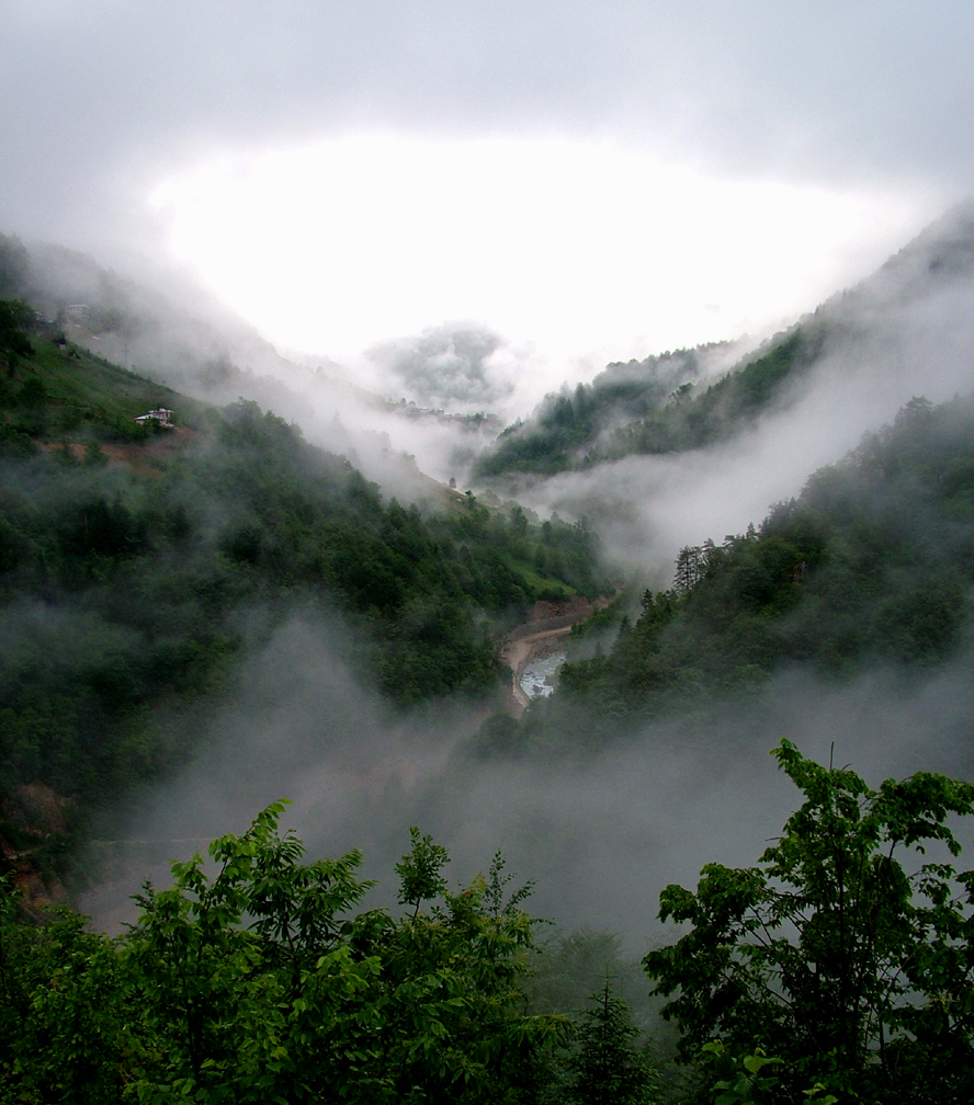 trabzon dağyolu