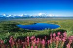 Denali NP Alaska