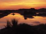 Wetland and Sand Dunes at Sunset Wadden Islands Holland The Netherlands