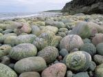 Green Point Gros Morne National Park Newfoundland Canada