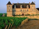 Clos de Vougeot Vineyard Vougeot France