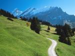 Bernese Oberland Switzerland