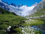 Unteraargletscher Switzerland