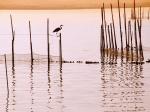 La Albufera National Park Spain