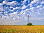 Country Field Illinois