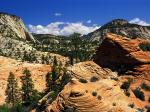 Swirling Sandstone Formations Zion National Park Utah