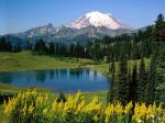 Alpine Scenic Washington