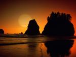 Second Beach Olympic National Park Washington