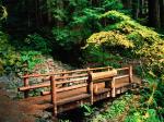 Sol Duc Falls Trail Olympic National Park Washington