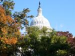 washington dc 073 capitol dome big