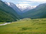 Cattle Flats Dart River New Zealand