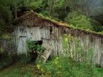 An Old Abandoned Barn Williamson County Tennessee