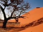 Sand Dunes Central Africa