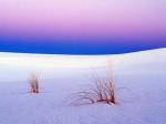 Tranquility White Sands New Mexico