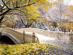 Early Snowfall Central Park New York