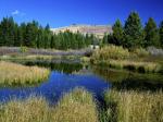 Beaver Ponds Sun Valley Idaho