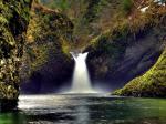 forest waterfalls