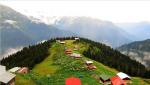 rize pokut