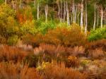 Eastern Sierra California