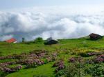 trabzon yayla